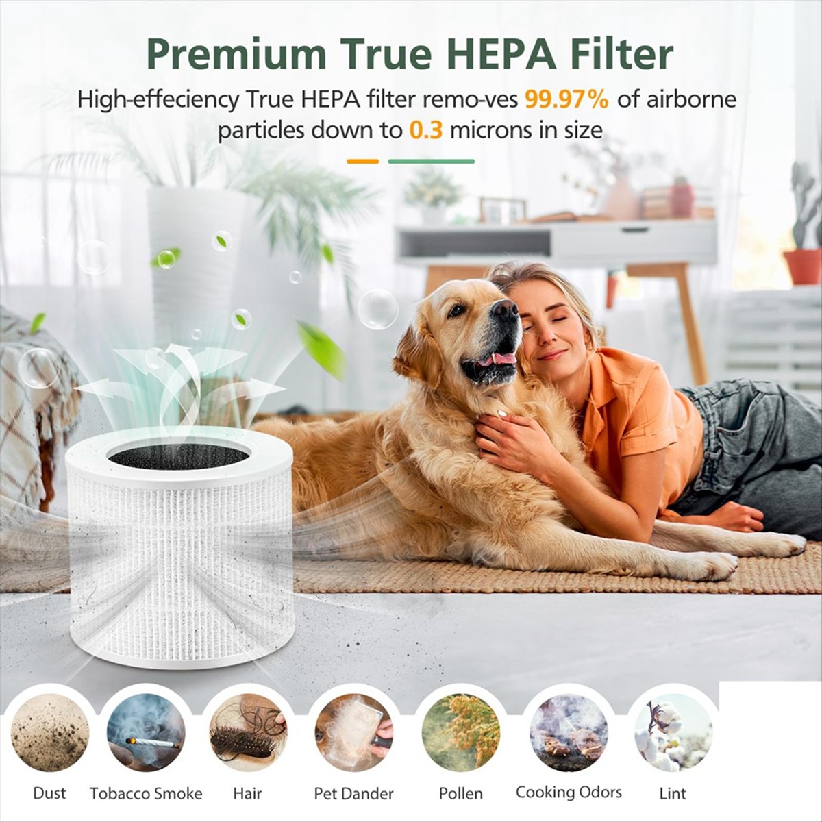 3 パック コア ミニ交換フィルター コア ミニ空気清浄機に - Air Purifier Hepa のレビューと価格