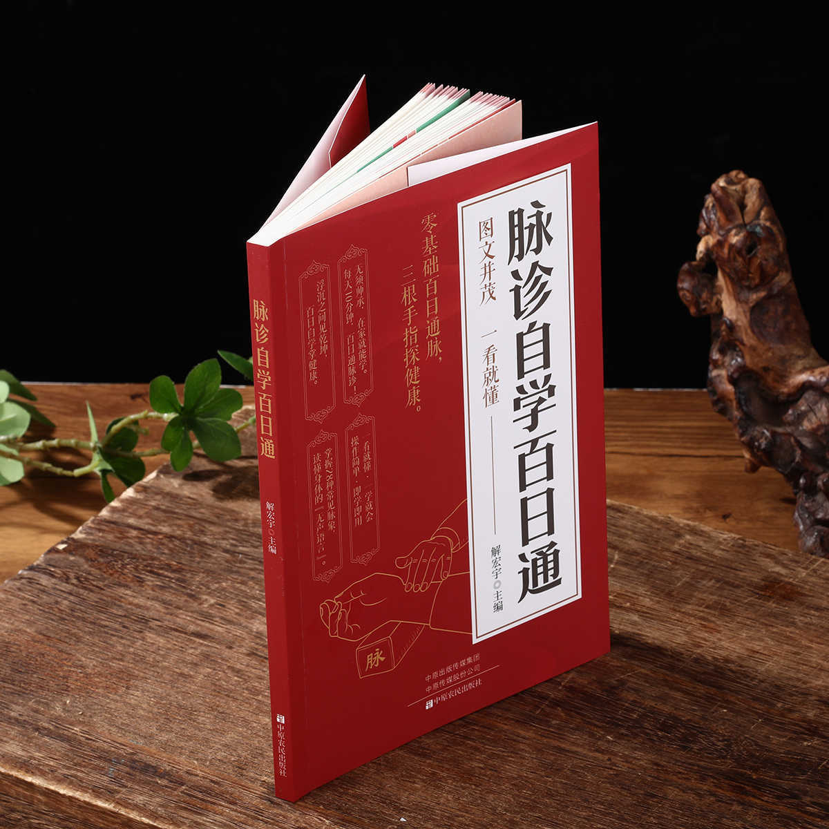 脈診独学百日合格、伝統中国医学入門独学健康書 - Health & Wellness Photos のレビューと価格